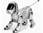 AIBO