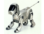 AIBO