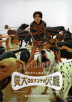 向井荒太の動物日記 ~愛犬ロシナンテの災難~