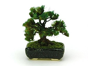 THE BONSAI PLASTIC MODEL