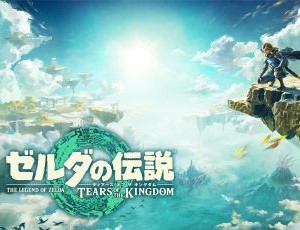 ゼルダの伝説 ティアーズ オブ ザ キングダム