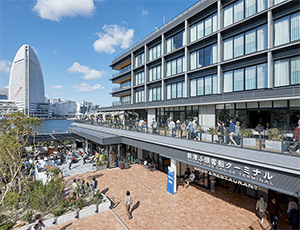YOKOHAMA HAMMERHEAD PROJECT