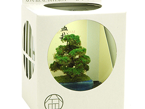 THE BONSAI PLASTIC MODEL（プラッツ）